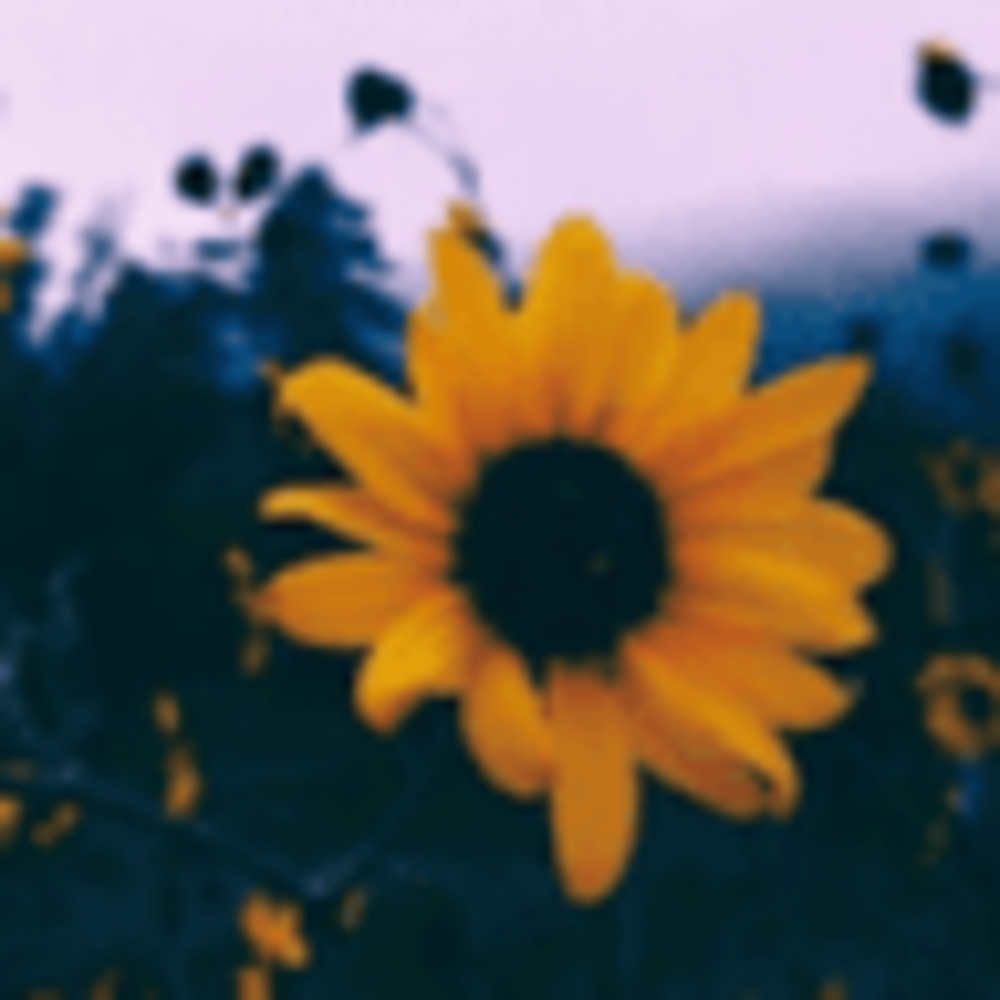 Meet your Posher, Emerson